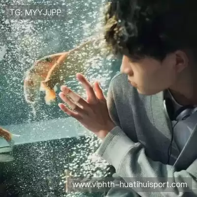徐松霖