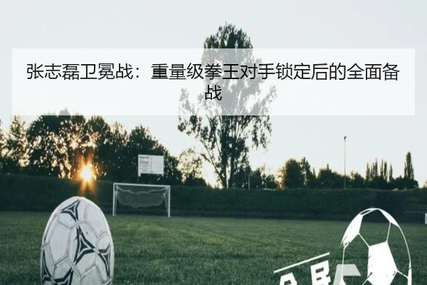 张志磊卫冕战：重量级拳王对手锁定后的全面备战